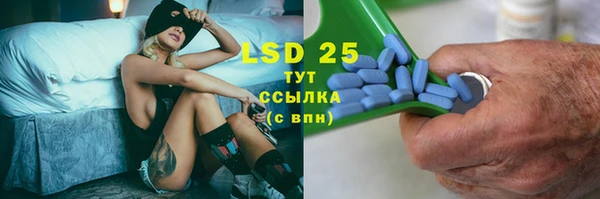 PSILOCYBIN Вязники